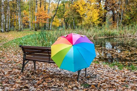 bench in the autumn Park and a colorful umbrella on the background of the autumn forestの写真素材