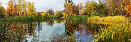 autumn Park with colorful leaves and a pond in the Park. panorama of autumn pondの写真素材