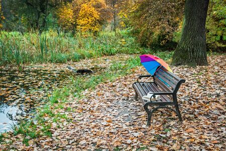 forgotten book on a bench in the autumn Park and a colorful umbrellaの写真素材