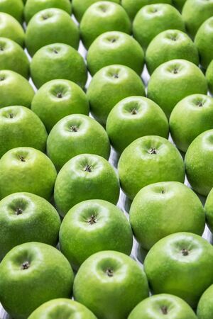 background of many green apples laid out in even rowsの写真素材