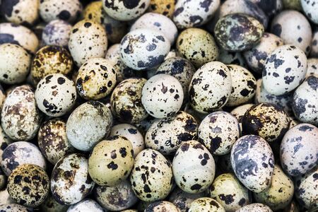 Textured background with small quail eggsの写真素材