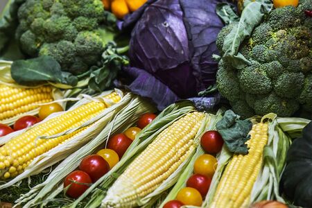 ears of ripe corn and other vegetables are collected from the fields. farmer's vegetable harvestの写真素材