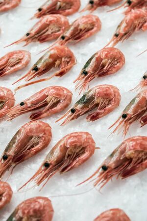 prawns lie on the ice in the store or in the kitchen of a restaurantの写真素材