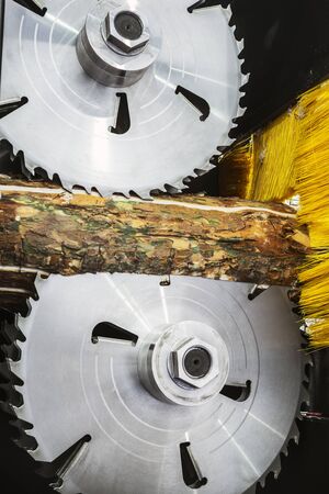 cutting discs and milling cutter of the machine woodworking on a sawmill. Focus on the teeth of the bladeの写真素材