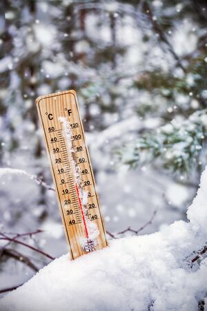 thermometer with plus temperature sticking out of the snow in the winter forestの写真素材