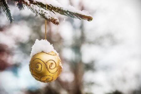 toy Christmas ball on the Christmas tree in the winter forestの写真素材