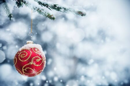 toy Christmas ball on the Christmas tree in the winter forestの写真素材