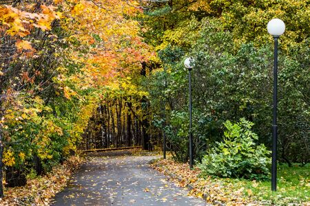lanterns high in the autumn forest and a path through the Parkの写真素材