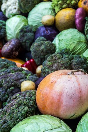 fresh vegetables cabbage, sweet peppers, pumpkin and melons and other vegetables. backgrounds of...