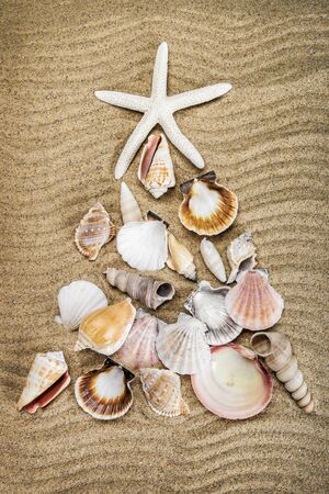 Christmas tree lined with different shells on the sea sand. Creative Christmas backgroundの写真素材