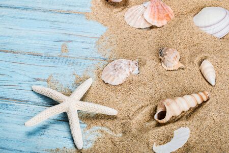 sea shells and starfish on the sand are scattered on the wooden pier. beach scene conceptの写真素材