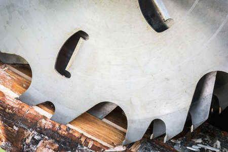 birch logs are cut with blades at a sawmillの写真素材