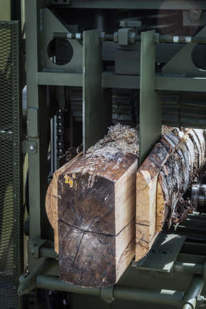 birch logs are cut with blades at a sawmillの写真素材