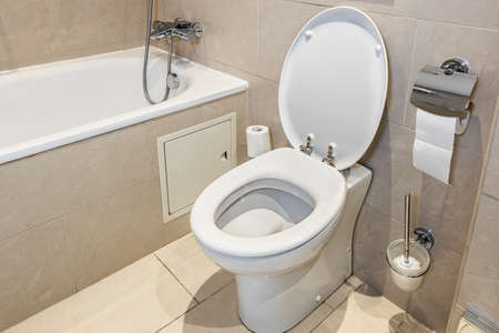toilet bowl and cleaning brush for cleaning the toilet bowl in the bathroomの写真素材