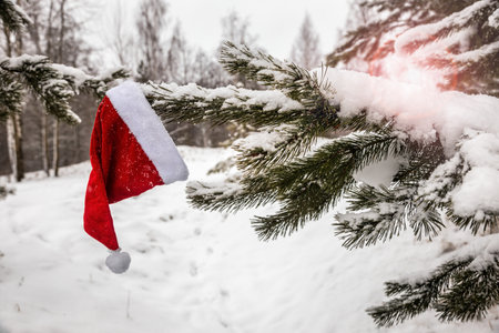 santa claus hat hanging on winter Christmas tree covered with snowの写真素材