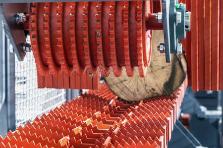 sawmill feeding flanges in woodworking machine at the sawmill