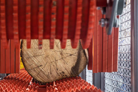 sawmill feeding flanges in woodworking machine at the sawmillの写真素材