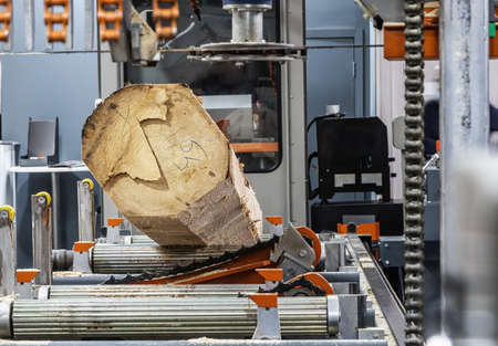 sawmill feeding flanges in woodworking machine