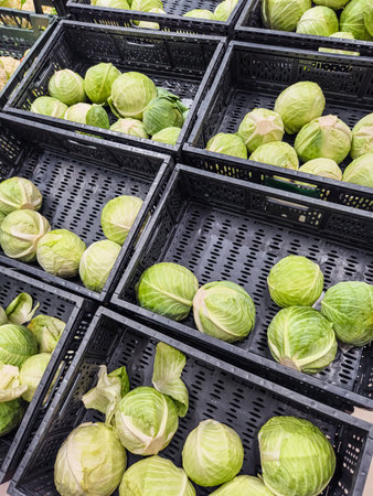 Fresh green cabbages displayed in crates at a local market for healthy meal preparationの写真素材