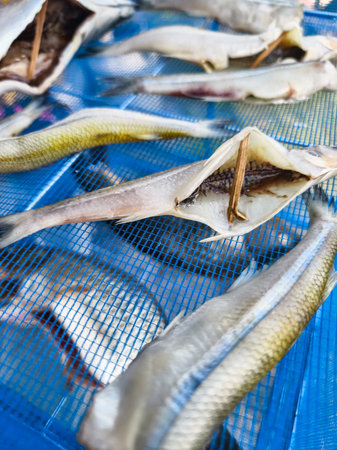 smelt Dried fish displayed on a blue net in a coastal market showcasing traditional preservation methodsの写真素材