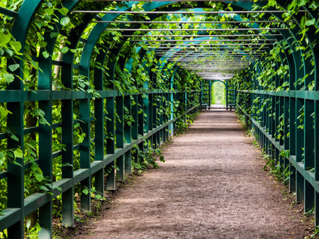 Lush green walkway through a vine-covered archway in a tranquil garden pathwayの写真素材