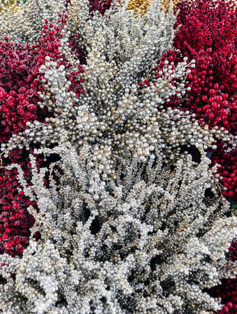 Colorful display of decorative dried plants and flowers in various shades at a local market during autumn seasonの写真素材