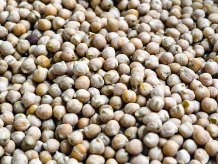Chickpeas spread out on a surface for drying and sorting in a farming area during daytimeの写真素材