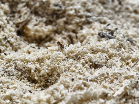 Wood shavings cover the ground in a workshop where crafting takes place during daylight hours