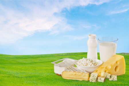 Dairy Product, Milk, Cheese.の写真素材
