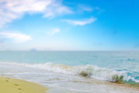 Shell, Beach, Waters Edge.の写真素材