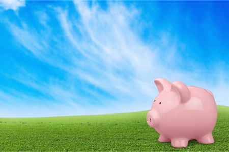 Piggy Bank, Pig, Savings.の写真素材