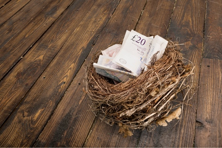 Pension, Animal Nest, Currency.の写真素材