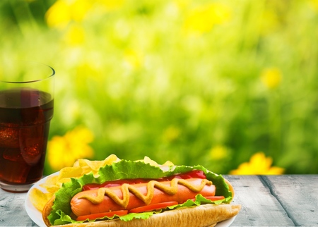 Hot Dog, Picnic, Potato Chip.の写真素材