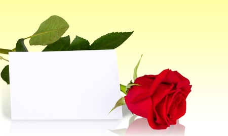 Thank You, Valentines Day, Greeting Card.の写真素材