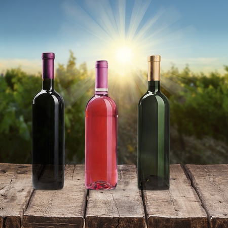 Wine Bottle, Wine, Bottle.の写真素材