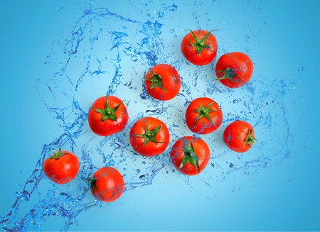 Splashing, splash, water.の写真素材