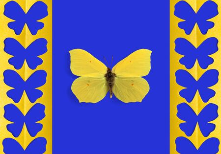 Paper, art, background.の写真素材