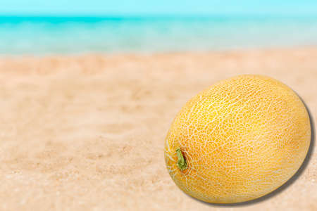 Melon, Honeydew Melon, Cantaloupe.の写真素材