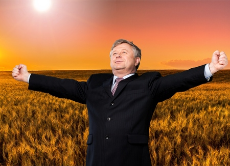 Businessman, Business, Cheerful.