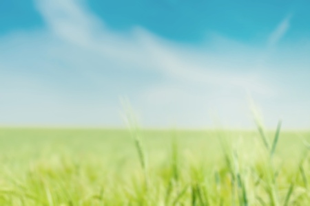 Relax, spring, freedom.の写真素材