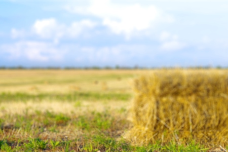 Bale, Hay, Straw.の写真素材