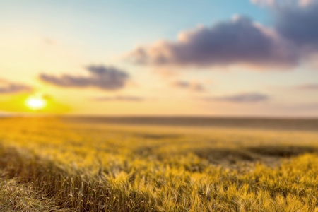 Relax, spring, freedom.の写真素材