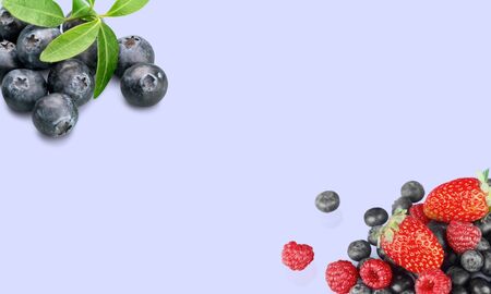 Blueberry, Fruit, Berry Fruit.の写真素材