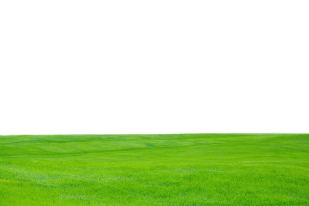 Sky, Grass, Field.の写真素材