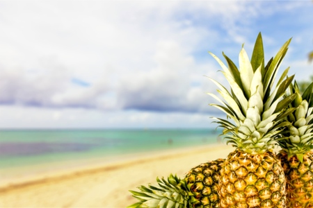 Pineapple, fruit, food.の写真素材