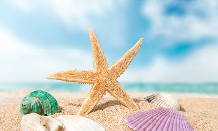 Summer, caribbean, holiday.