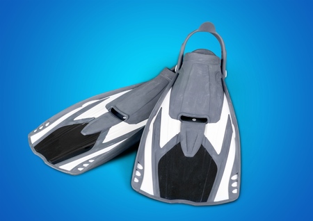 Flipper, Group of Objects, Isolated.の写真素材