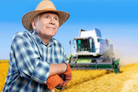 Gardening, Senior Adult, Men.の写真素材