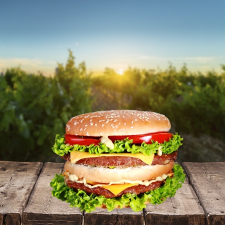 Food, Hamburger, Burger.の写真素材