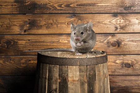 Risk.の写真素材